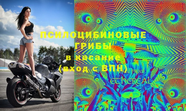 MESCALINE Медногорск